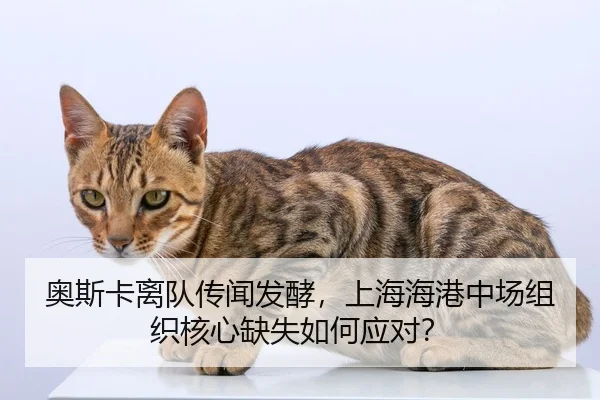 奥斯卡离队传闻发酵，上海海港中场组织核心缺失如何应对？