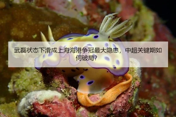 武磊状态下滑成上海海港争冠最大隐患，中超关键期如何破局？