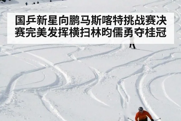 国乒新星向鹏马斯喀特挑战赛决赛完美发挥横扫林昀儒勇夺桂冠